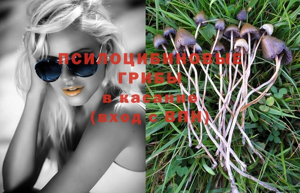 круглые Аркадак