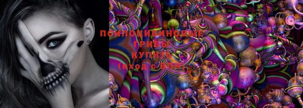 круглые Аркадак