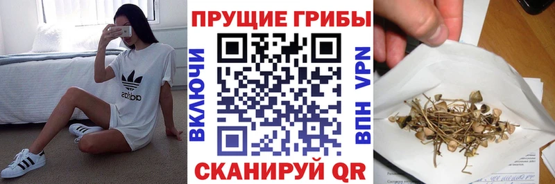 купить закладку  Бабаево  Галлюциногенные грибы мухоморы 